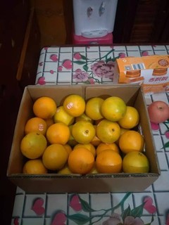 褚橙官方旗舰店橙子新鲜10斤当季水果整箱