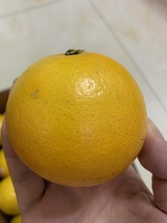 褚橙官方旗舰店橙子新鲜10斤当季水果整箱
