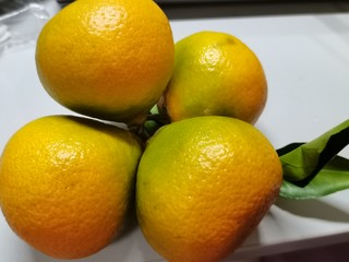 营养丰富又好吃的橘子