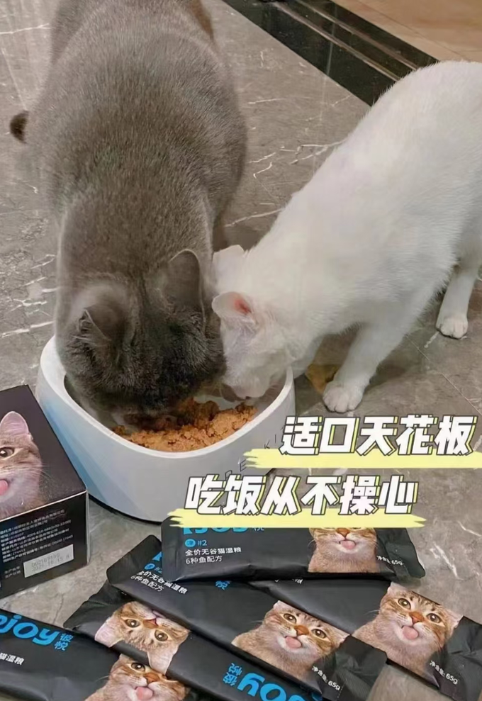 猫咪干粮