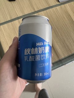 秋林奶啤乳酸菌发酵饮料含乳饮料网红饮品