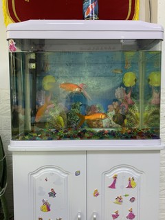 家用小型水族箱环境箱