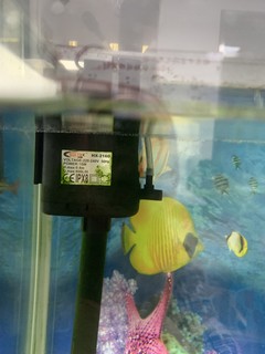 家用小型水族箱环境箱