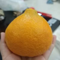 饱满多汁甜味十足的橘橙