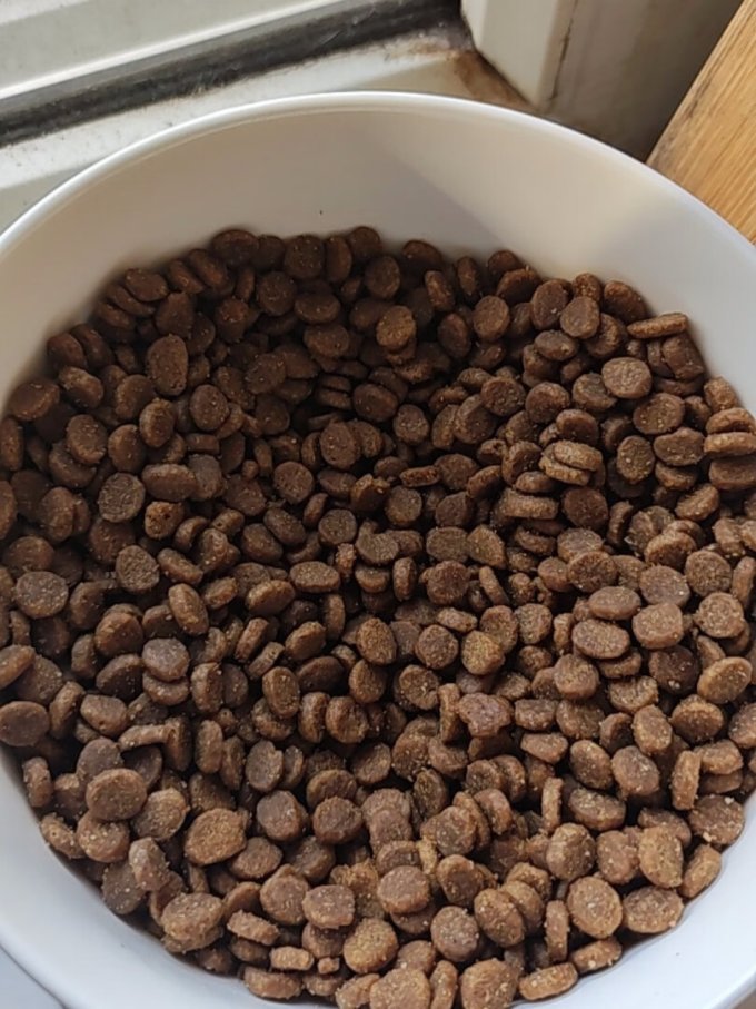 nulo猫粮怎么样 很好 对软便喵喵很有用 ._什么值得买