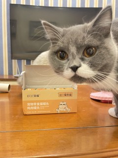 养了半个多月的猫草被我养死了 现在顽强的