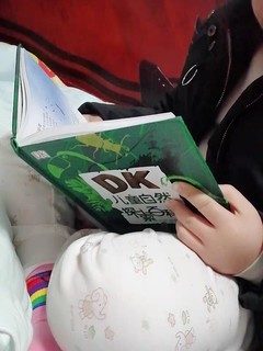 Dk儿童科普书籍