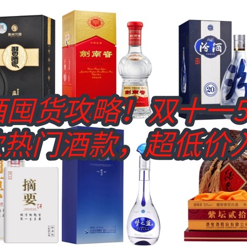 别找了，最全白酒囤货攻略！双十一500-800元10款热门酒款，超低价入手！