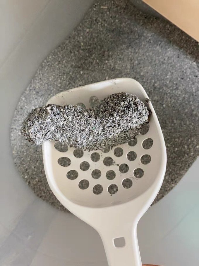 美国everclean铂钻猫砂白标25磅蓝紫标活性