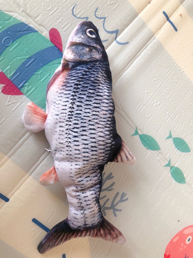 宝宝奇奇怪怪的玩具又增加了