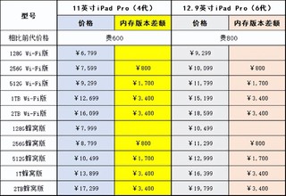 iPad Pro最佳扩容方案，百元轻松拓展128g
