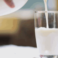 食客：双十一卖爆！上榜两款绝对值的牛奶是什么来头？