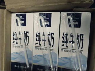 京东京造 纯牛奶 200ml*24盒/箱 