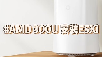 NAS 篇一：AMD 300U 安装ESXi6.7，产品叫tbao？