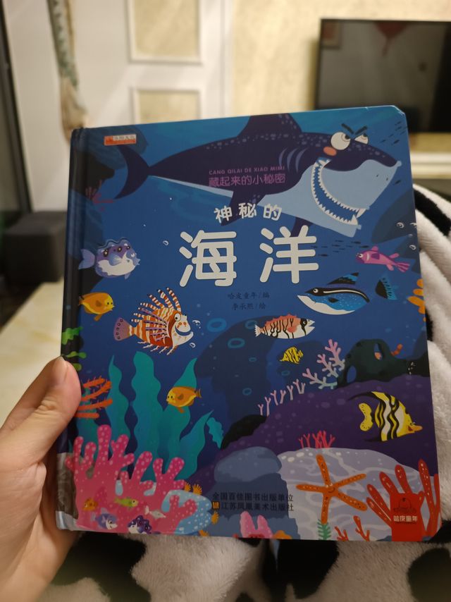 神秘的海洋