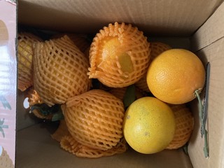果冻橙子