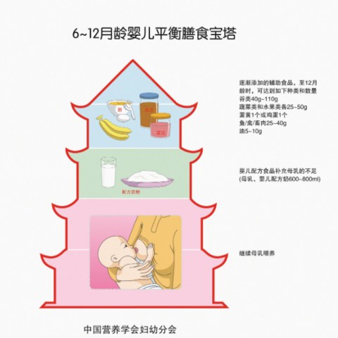 辅食攻略：7-9个月辅食食谱