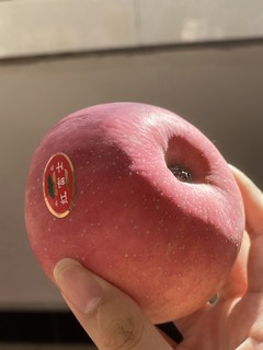 陕西红富士苹果｜理想中的红苹果🍎