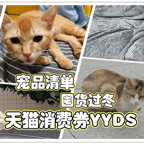 双11天猫大额券第2波！给宠物主子们过冬备货吧