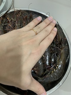 贵有贵的道理，山姆黑虎虾品质没得说