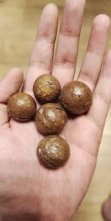 百草味坚果夏威夷果奶油味100g坚果