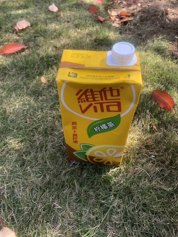 维他奶果汁饮料