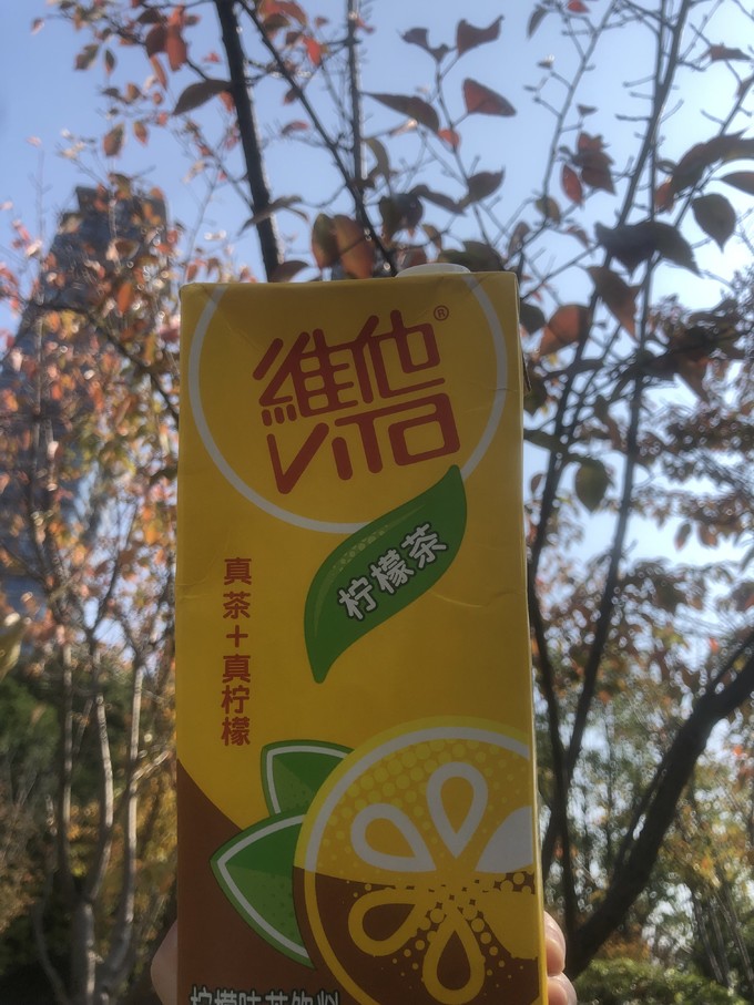 维他奶果汁饮料