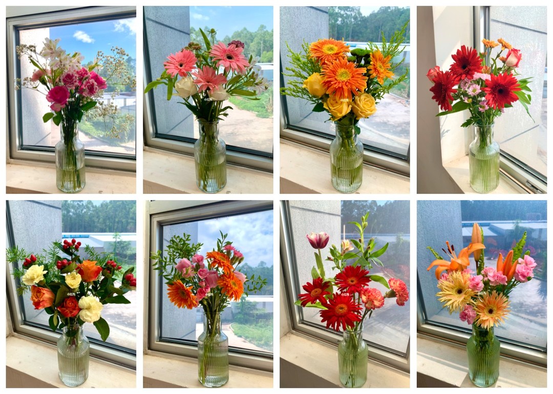 办公室养花特辑，每周一束时令鲜花，还有吃空气就能长大的美人花！