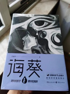 《消失的孩子》