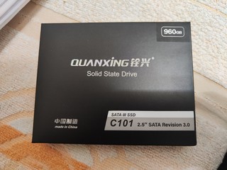 白菜价的铨兴C101 960G SSD