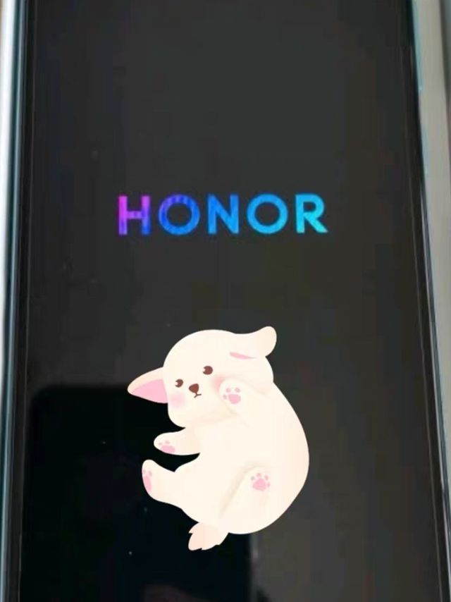 HONOR/荣耀畅玩20 4G手机5000mAh大电池6.5