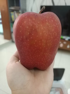 一口就爱上的花牛苹果🍎