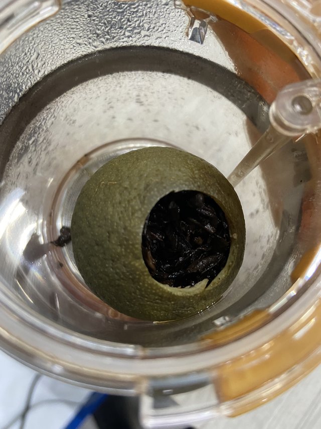 中茶牌普洱小青柑