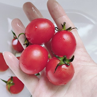 减脂期也可以吃的小番茄