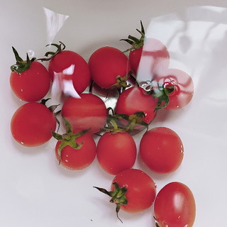 减脂期也可以吃的小番茄
