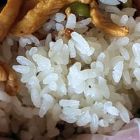 东北五常长粒香大米饭