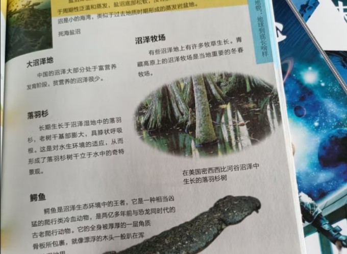 浙江教育出版社少儿读物