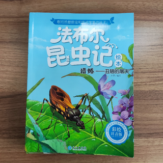 有趣的昆虫记，小学生第一套课外读物