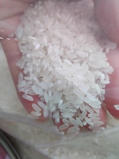 不配菜也能吃3碗的十月稻田鲜米