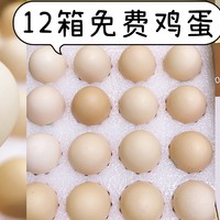 生活小贴士 篇十：1号店免费的12箱可生食鸡蛋，第一箱已到货，你们都冲了吗？