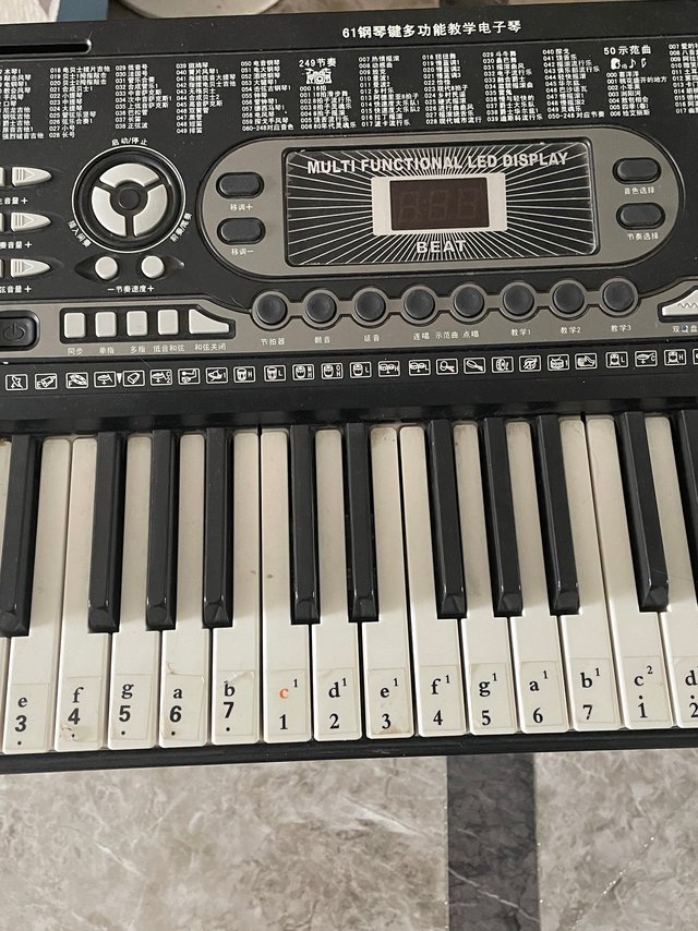 学前教育入门电子琴