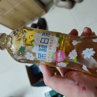 伊藤园（ITOEN）茉莉白茶 