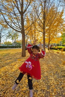 秋日美景拍摄分享