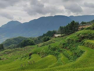 生活中不是没有美而是缺少发现