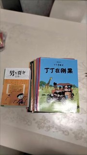 好价入手的丁丁历险记