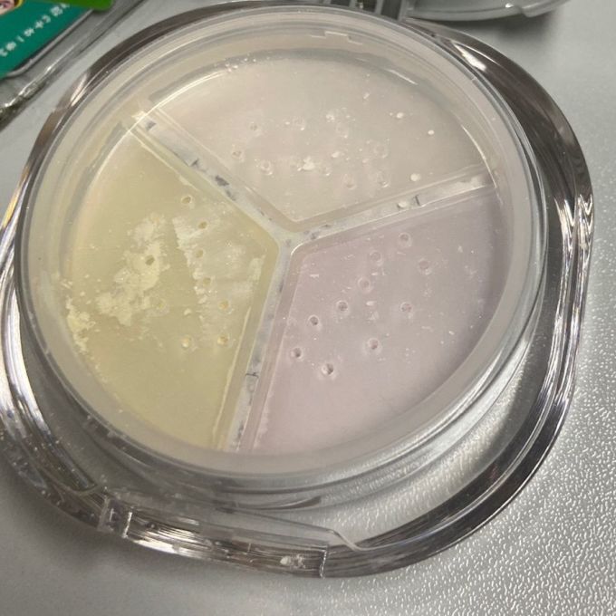 芭贝拉三色定妆散粉珠光控油