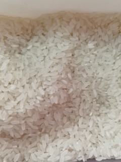确实是正儿八经的五常大米，看米的形状