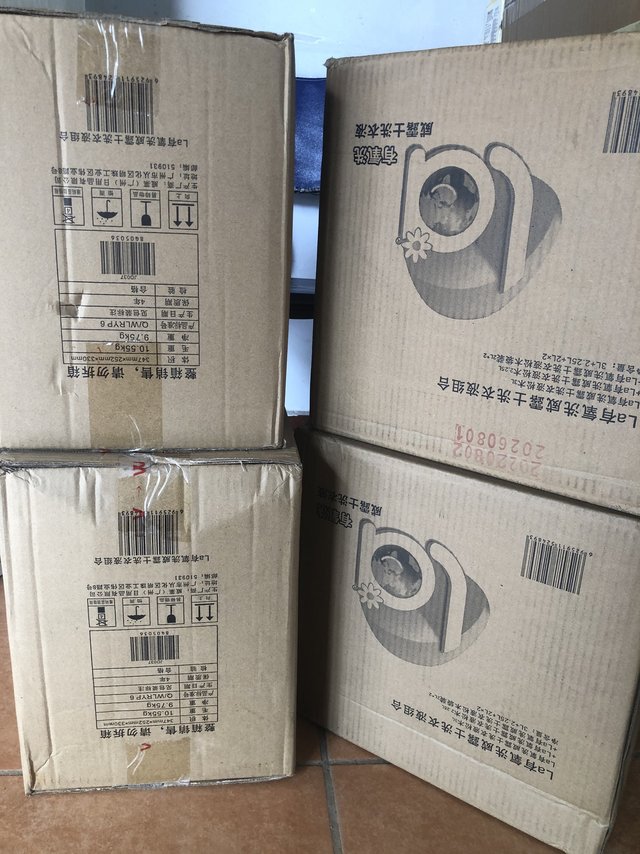 威露士洗衣液，真的绝绝子！