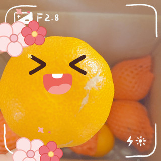 四川爱媛38号果冻橙，每年都会买。