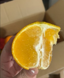 橙子不错